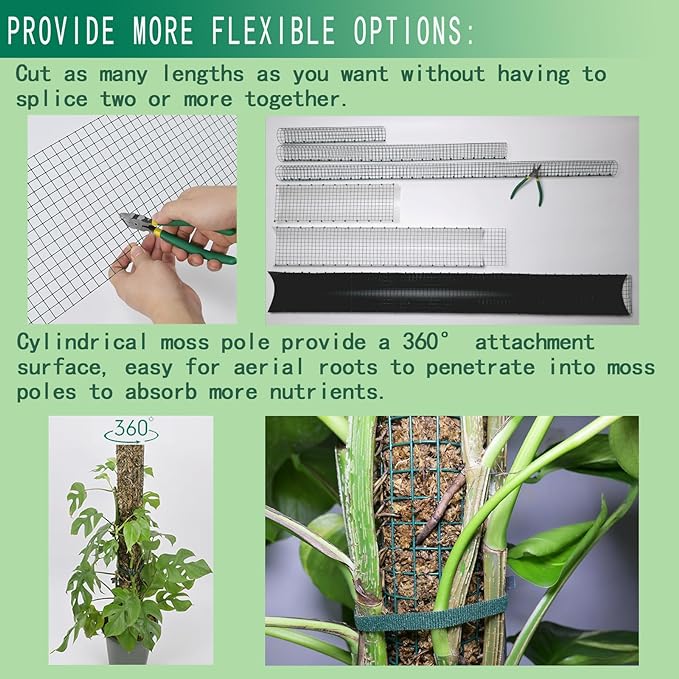 Metal Moss Poles for Climbing Plants, D-Shape Sphagnum Moss Pole Monstera Plant Support for Climbing Plants, DIY Plant Stakes Work with Sphagnum Moss (12ft D-Shaped Frosted)