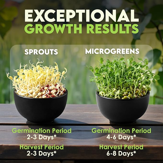 Nature Jim's Sprouts 3-Bean Seed Mix - Organic Green Peas, Lentils & Adzuki Beans for Planting - Non-GMO Microgreen Sprout Seeds, Fast Sprouting, High in Fiber, Protein, Nutrients & Vitamins - 16 Oz