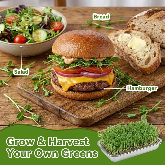 2-Pack Stainless Steel Seed Sprouting Tray Kit, Soil-Free Microgreens Growing Kit with Towel & Gauze, Sprouting Trays for Microgreens Beans Alfalfa Broccoli Wheat Grass (12.6" x 8.6")