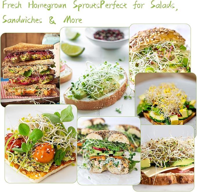 Seed Sprouting Kit - 2×32 Oz Wide-Mouth Mason Jars with Sprouter Lids, Stand, Sprout Tray & Light Shield, for Broccoli, Alfalfa, Mung Beans & Microgreens (Yellow + Green)