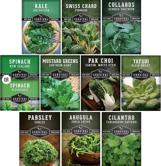 10 Power Greens Seed Collection – Heirloom Collards, Mustard, Swiss Chard, Spinach, Kale, Tatsoi, Pak Choi & More for Fall & Spring Planting | Survival Garden Seeds