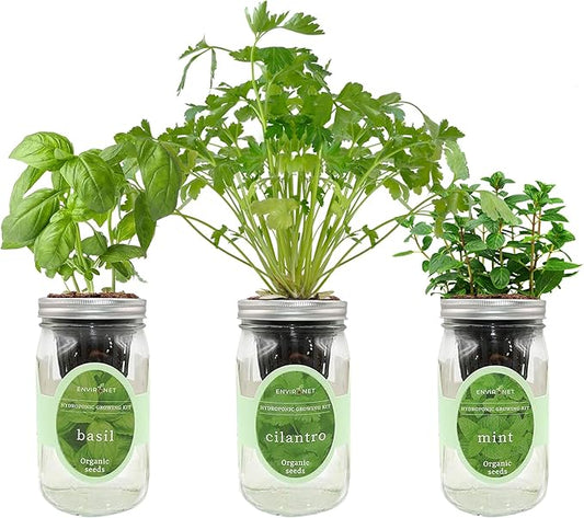Hydroponic Herb Growing Kit Set, Self-Watering Mason Jar Herb Garden Starter Kit Indoor, Window Herbs Garden, Grow Your Own Herbs from Organic Seeds (Basil, Cilantro and Mint)