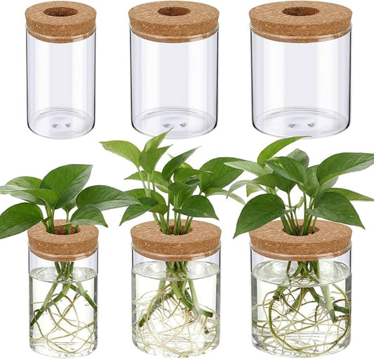 6 Pcs Glass Plant Propagation Stations (2 Large + 2 Medium + 2 Small) Hydroponic Flower Vases Desktop Plant Terrarium Jar for Cuttings, for Living Room, Bedroom, Home Decoration