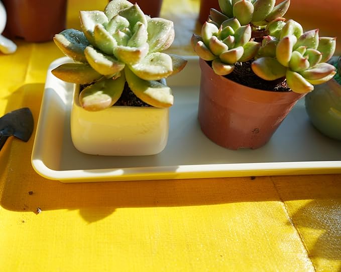 VUWEZ 2 Pack Plastic Plant Trays Rectangular 14 inch, Indoor/Outdoor Plant Water Drip Trays for Flower Pot Planter, Windowsill (6.8 X 14.5'', Beige)