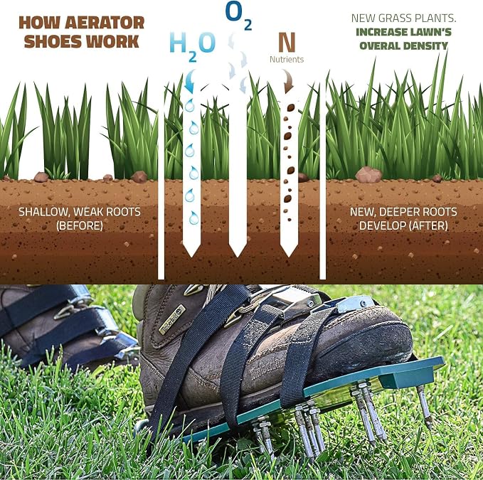Lawn Aerator Shoes, Adjustable Strap Spiked Sandals Nails Size Fits All Aeration Tool Soil Grass Patio Courtyard Aerating One Straps Screed Gardening Spike Protection Lawns Courtyards(4 Straps)