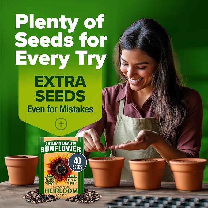HOME GROWN Autumn Beauty Sunflower Seeds to Plant 40 Heirloom Non-GMO Sunflower Seeds for Planting Blooms for Pollinator Support, and Ornamental Flower Garden (Helianthus annuus)
