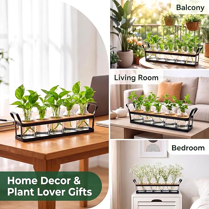 Salzesfalls Propagation Stations with Metal Stand,Plant Propagation Station & Vases,Table Top Plant Stand, 5 Glass Jars for Hydroponic Plant Propagation, Plant Lover Gifts