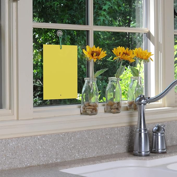BLACK+DECKER Fruit Fly Trap- Gnat Trap- Indoor Fly Trap & Fly Traps Outdoor- Gnat Traps for House- Dual- Sided Yellow Mosquito Trap, 20 Pack Sticky Traps