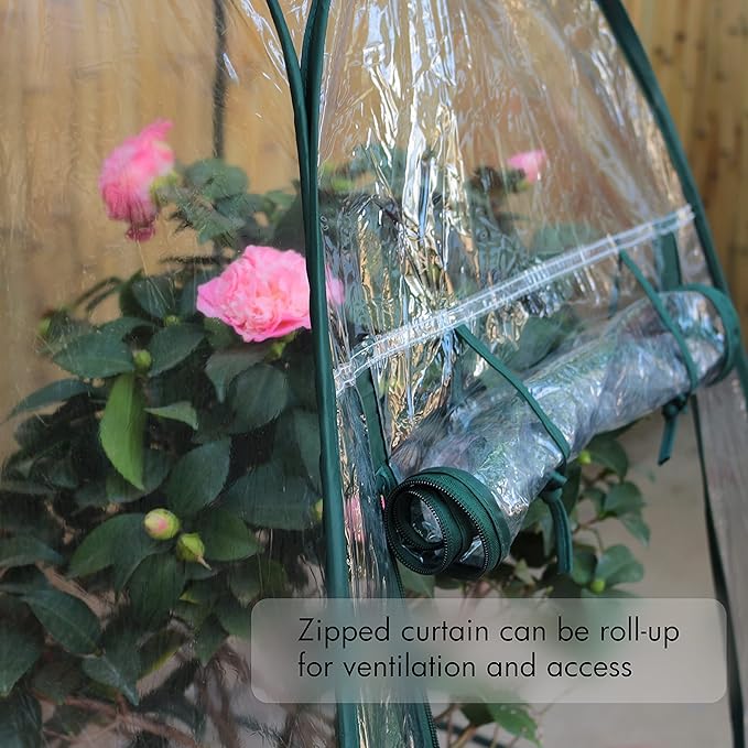 Gardzen 27"x27"x31" Pop up Grow Greenhouse Small Greenhouse, Steel Frame Portable Plant Flowers Mini Green House Zipper Cover for Outdoor & Indoor Use