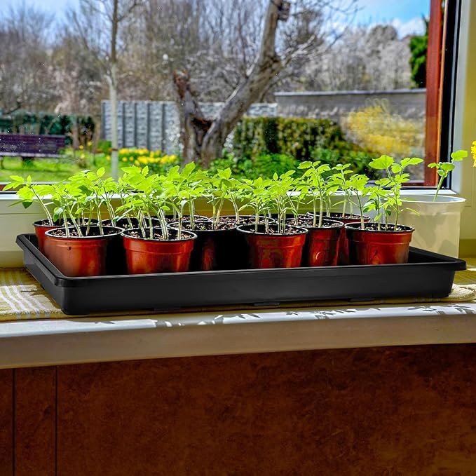 ZAVOOS 6 Pack Nursery Potting Trays, Plastic Seedling Starter Tray with No Drain Holes, Easy Watering Flat Garden Plant Growing Tray for Indoor Greenhouse Germination, 17.3'' x 11.6'' x 1.3''