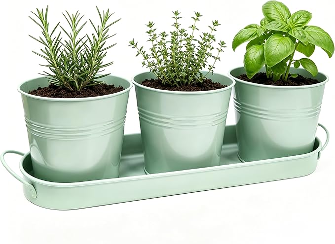 TCBWFY Indoor Herb Garden Planter Set - 3 Pack 4.7" Green Metal Plant Pots with Drainage Holes & Removable Tray - Windowsill Kitchen Counter Balcony Office Garden