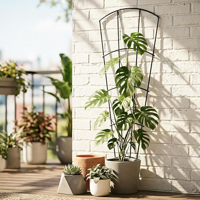 Thealyn 4 Pack 56" Metal Plant Trellis for Pots & Garden Beds, Rustproof Support for Indoor Outdoor Climbing Plants, Vines, Flowers, Fan Shaped, Black