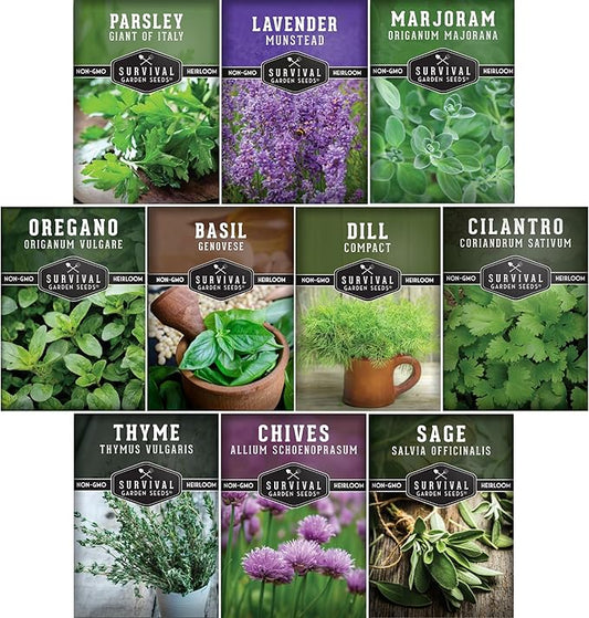 Herb Seeds Variety Pack | 10 Culinary Herbs for Planting – Basil, Cilantro, Lavender, Dill, Parsley, Oregano, Thyme, Sage, Chives, Marjoram – Indoor Kitchen Herb Kit – Survival Garden Seeds