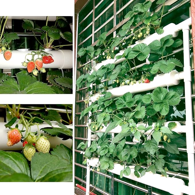Hydroponic NFT 36 Holes Growing System with Special Fertilizer Timing Cycle, PVC Pipe Garden Plant Kit