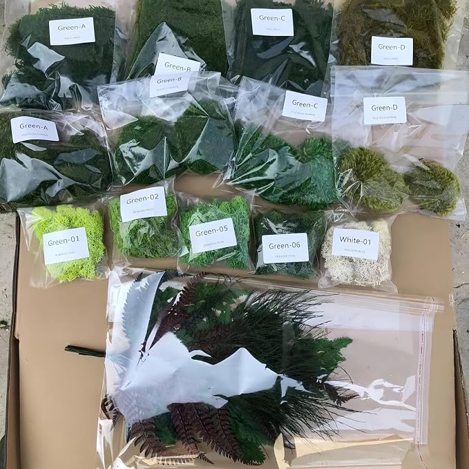 DIY Crafts Assorted Moss Kit Mixed Preserved Stabilized Moss Pillow Cushion Natural Green Real Decoration Sample