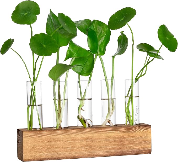 YIBOT Plant Propagation Stations with Wooden Stand,5 Glass Test Tubes Vases | Plant Terrarium,Birthday Gardening Gifts for Women Mom Plant Lovers, Home Office Desk Decor