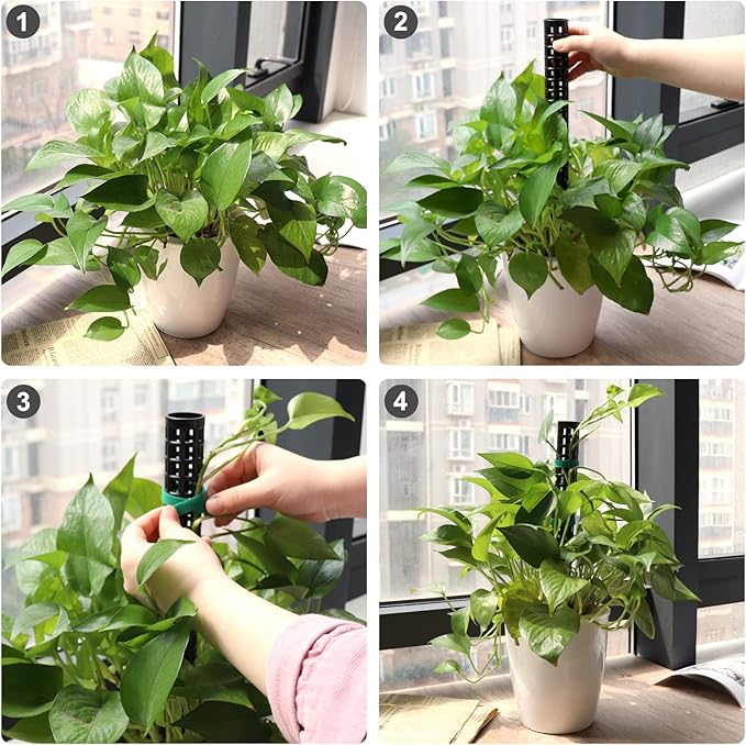 Moss Pole for Climbing Plants Monstera, Indoor Plant Supports, Plastic Moss Stick, Plant Stake for Garden, Extension Aid Climbing Rob (Black, 2pcs 10inch)