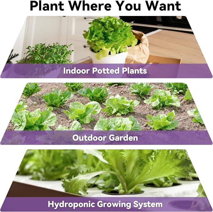 Red Romaine Lettuce Seed Pods for AeroGarden, Ahopegarden, iDOO, MUFGA - Compatible with All Hydroponic Indoor Garden Growing System Refill, 400+ Seeds, 7 pods