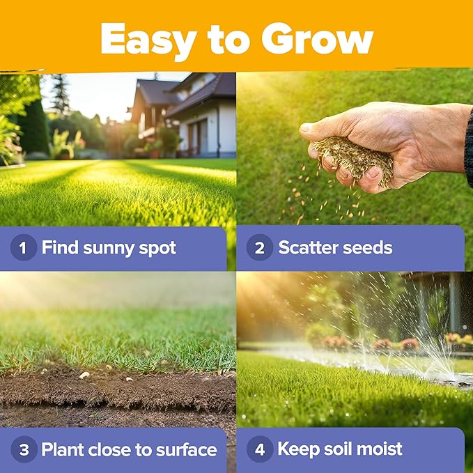 HOME GROWN USA Wildflower Seeds Bulk Mix | 44,000 Non-GMO Perennial Flower Seed for Full Sun & Shade | 19 Varieties for Butterfly & Pollinator Garden | 2 oz