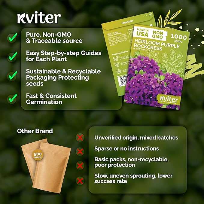 KVITER 1,000 Purple Rock Cress Seeds Perennial (Aubrieta deltoidea) - Aubrieta Seed, Lilacbush, Non-GMO & Ground Cover Seed - Ideal Flower Seeds for Planting in Beds, Rock Garden & Walls
