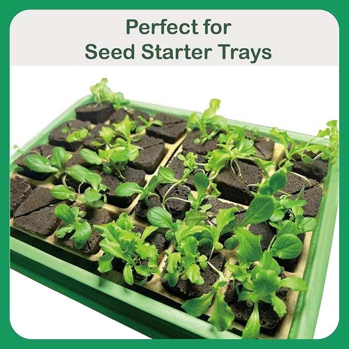 Haligo 50 Pcs Square Hydroponics Pods, Seed Starter Plugs Rapid Rooter, Grow Sponges for Cactus, Succulent, Replacement Cubes for Seeds or Cuttings