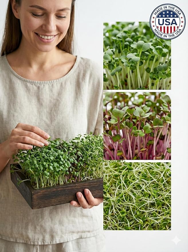 Todd's Seeds Broccoli Radish Alfalfa Sprouting Mix, 1 lb – Non-GMO | 3-seed blend: Broccoli, Radish, and Alfalfa. Chemical free, high germination. Ready in days in a mason jar or Easy Sprouter.