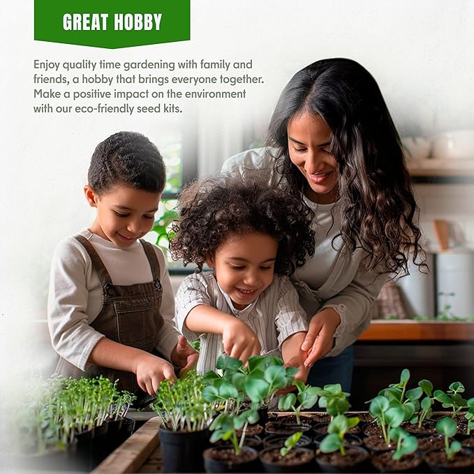 15 Lettuce & Salad Greens & 18 Culinary Herb Seeds Variety Pack Bundle 11200+ Non-GMO Heirloom Garden Seeds for Planting Herbs and Greens