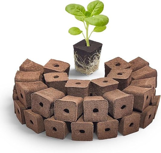50 Pack Grow Sponges Square Sponge Replacement Part Seedling Starter Sponges for Hydroponic Indoor Garden System Cuttage Rooting Germination Kits
