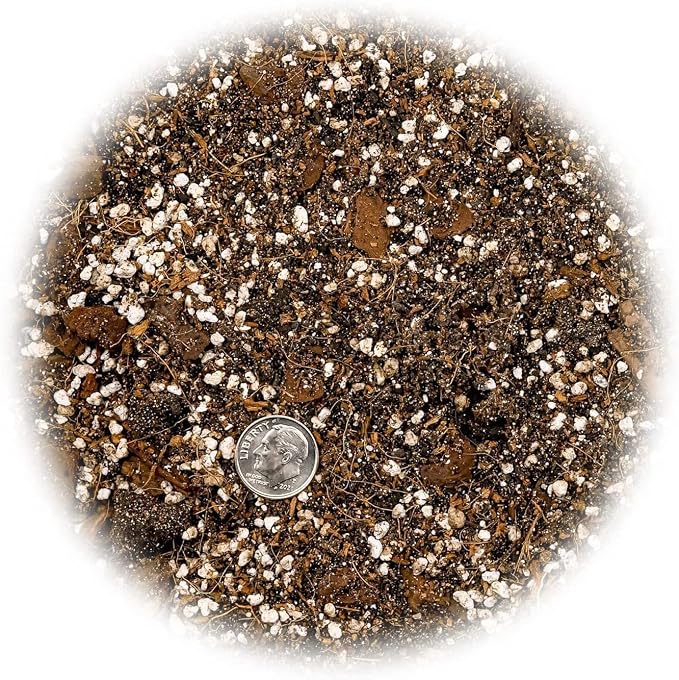 GARDENERA Premium Spider Plant Potting Soil Mix - (4 Quart Bag)
