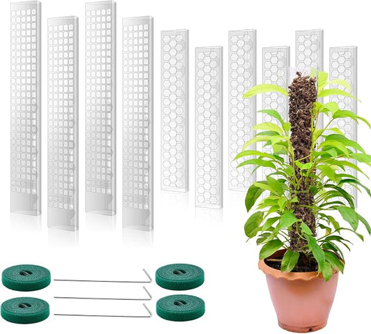 10 Pieces Plastic Moss Pole for Monstera Including 4 Pcs 24 Inch Clear Plant Poles for Indoor Climbing and 6 Pcs 15 Inch D Shape Stackable Plant Support Kit Work with Sphagnum Moss