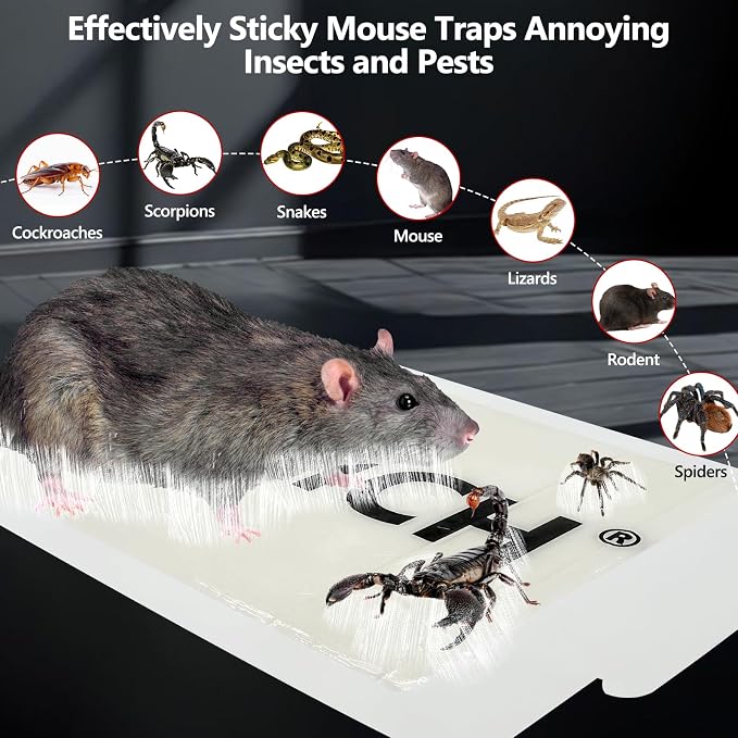 16 Pack Mouse Glue Trap,Mouse Traps Indoor for Home,Adhesive Bugs Roach Spider Insect Traps,Sticky Mouse Traps,Bulk Glue Traps for Mice
