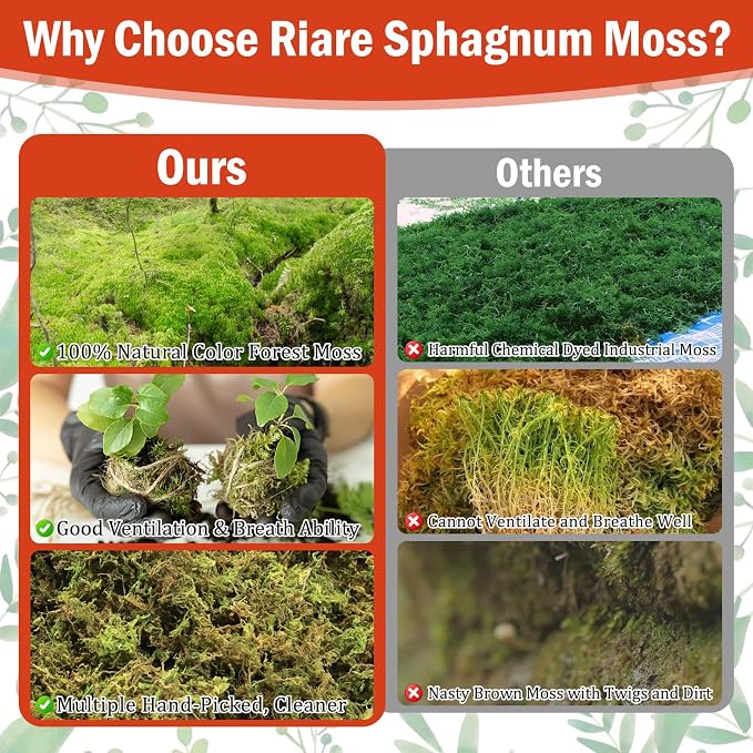 Riare 3.5OZ Premium Sphagnum Moss for Plants- 4QT Natural Dried Plant Moss for Potted Plants, Orchid Moss for Repotting, Soft Green Decorative Moss for Succulents, Reptiles & DIY Crafts