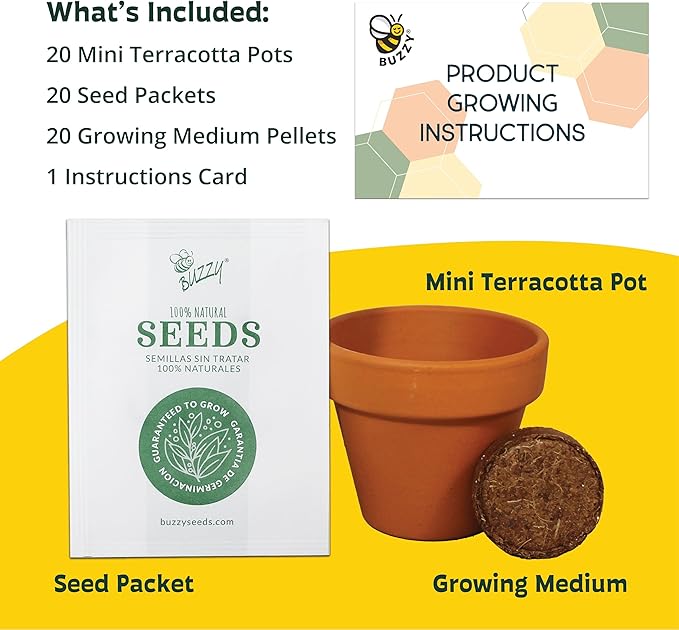 BUZZY Seeds Sunflower Grow Kit, Bulk 20-Pack - Mini Terracotta Pot Grow Set - Complete Indoor/Outdoor Gardening Kit with Seeds, Coconut Husk Growing Medium & Genuine Pots - 100% Grow Guarantee