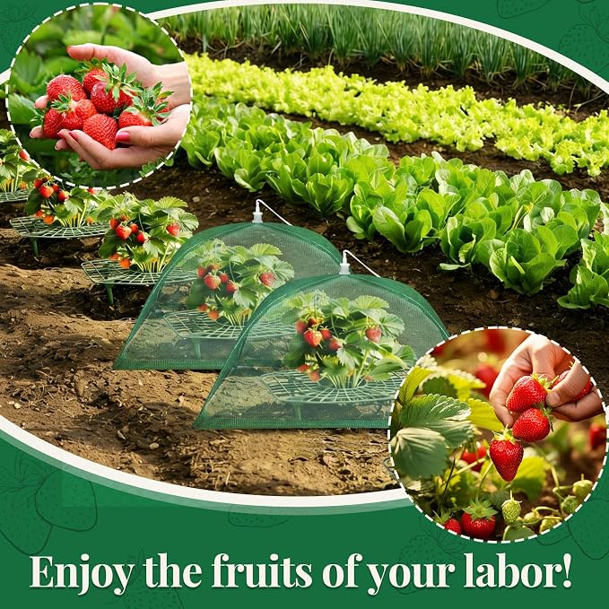 6 Sets Strawberry Plant Support with Mesh Plant Cover, Strawberry Growing Rack Kit with 24 Iron Plant Nails for Garden, Strawberry Growing Frame with Protective Net for Strawberries Tomatoes Veggies