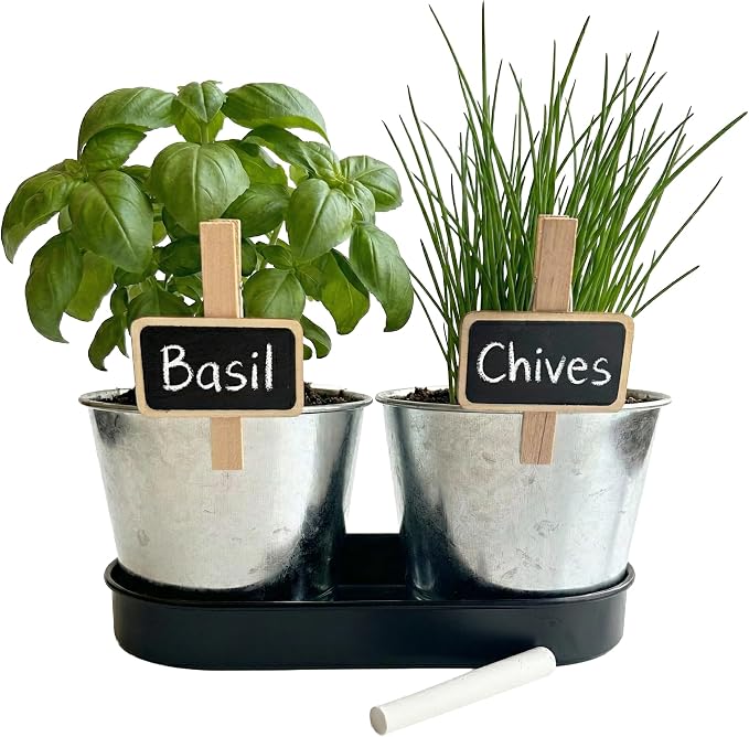BUZZY Seeds Kitchen Herb Garden Kit with 2-Pot Metal Planters with Plant Markers, Organic Basil and Chive Seeds, Coconut Husk Growing Medium, Indoor Countertop Gardening Gift