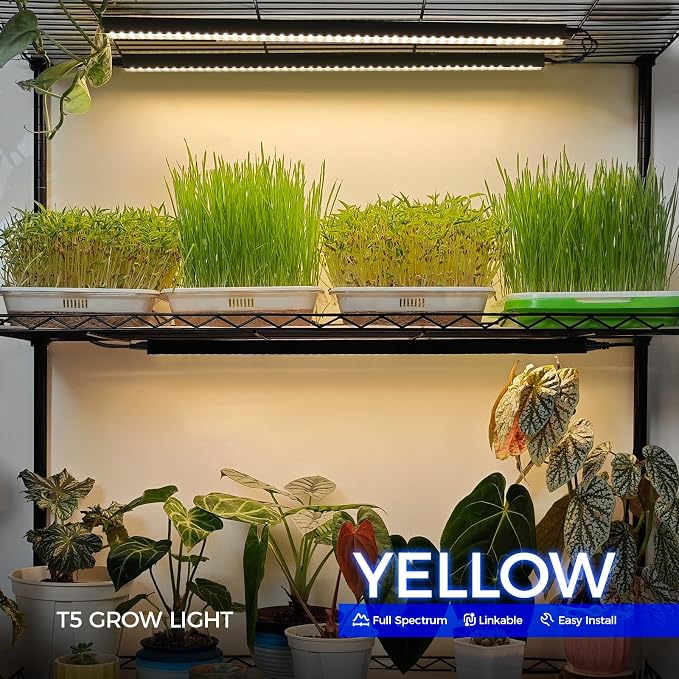 Barrina T5 Grow Lights for Indoor Plants, 2FT 20W (2 x 10W), Black Cover Plant Growing Lamp with Magnetic Installation, Full Spectrum Grow Light Strip with Separate Switch, Linkable, Yellow, 2 Packs