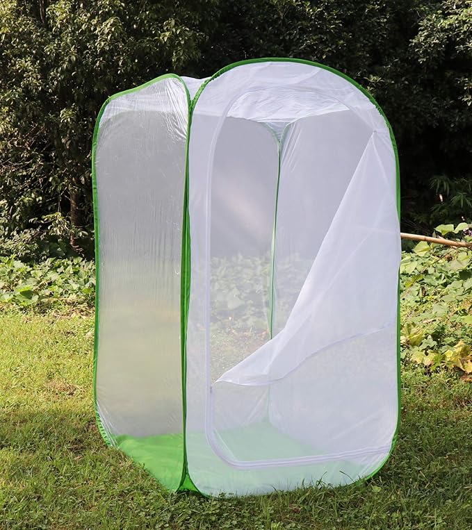 5 Feet Extra Large Monarch Butterfly Habitat, Giant Collapsible Insect Mesh Cage Terrarium Pop-up (White + Green, 35 x 35 x 59 Inches)