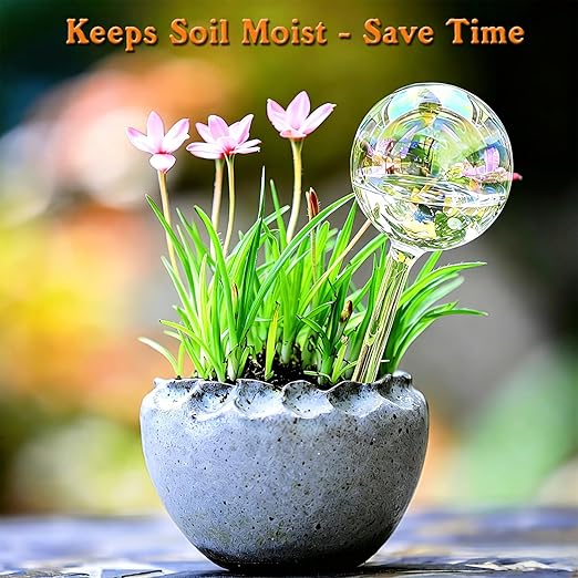 Self Watering Globes for Plants - Large 6pcs Glass Rainbow Self Watering Bulb Up to 5 Days of Irrigation, Self Watering Planter Insert for Indoor Outdoor Plant, Automatic Watering Device for Daily Use