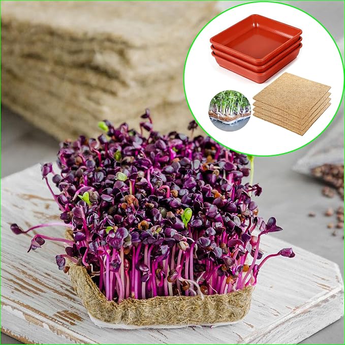 Microgreens Growing Trays Kit –3 Pack (12 x 12) in MicroGreen Grow Trays with 4 Hemp Fiber Grow Mats, 10 x 10 x 1.8 Inch Seed Starter Trays for Growing Microgreens, Indoor Gardening