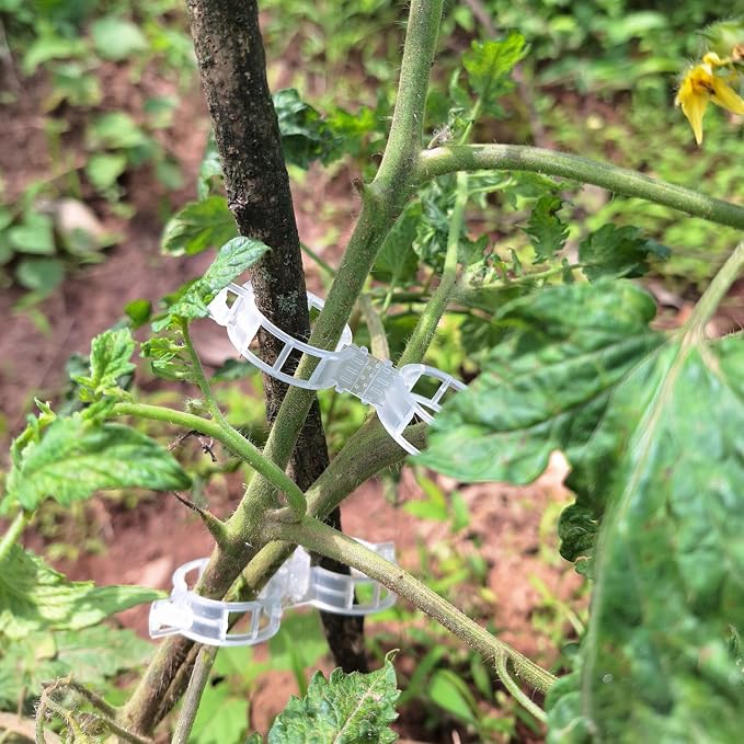 Aipker Bulk Tomato Clips, Plant Support Clip for String Trellis Climbing Plants Garden Vegetables- 200PCS/White