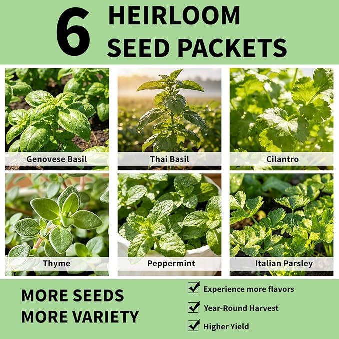 Herb Seed Pods Kit Hydroponic -12 Refill Grow Pods with 6-Packet Seeds of Genovese Basil, Thai Basil, Cilantro, Thyme, Mint & Parsley, Compatible with All Hydroponics Growing Systems & Indoor Gardens