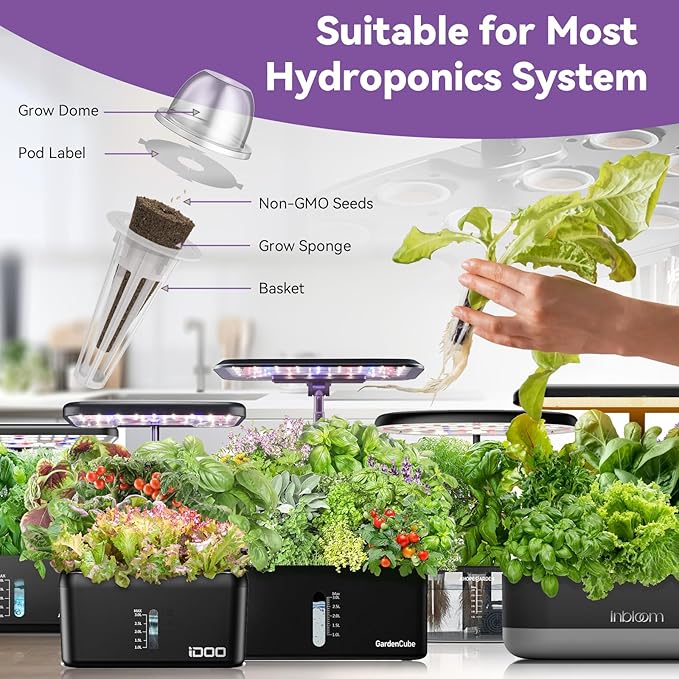inbloom Salad Romaine Lettuce Seed Pod Kit for AeroGarden, Ahopegarden Hydroponics Growing System, 12-Pods (350+ Seeds, Include American Fast, Parris Island, Buttercrunch, Red Romaine Lettuce)