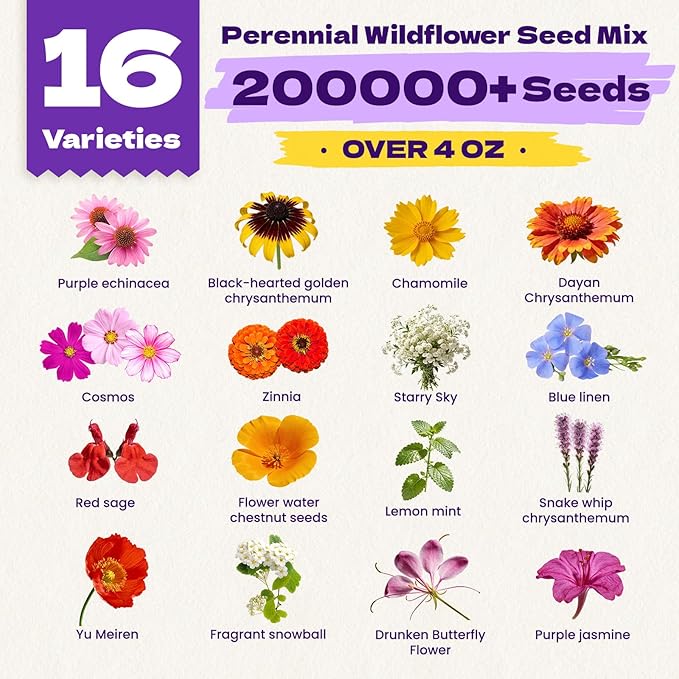200,000+ Wildflower Seeds Bulk (4oz) – 16 Varieties Perennial & Annual Mix, Attract Bees, Butterflies & Hummingbirds, High Germination for Outdoor Pollinator Garden, Unique Gift for Mother, Women, Mom