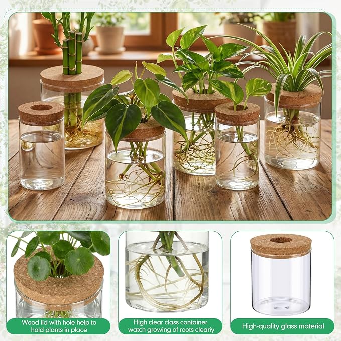 6 Pcs Glass Plant Propagation Stations (2 Large + 2 Medium + 2 Small) Hydroponic Flower Vases Desktop Plant Terrarium Jar for Cuttings, for Living Room, Bedroom, Home Decoration