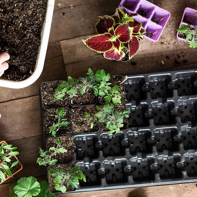Bootstrap Farmer Extra Strength 32 Cell Seedling Starter Trays w/Inserts, 5 Pack, for Seed Germination, Plant Propagation, Growing Trays, Planting Starter