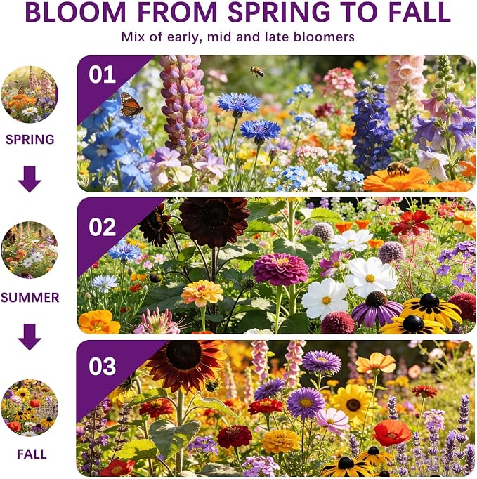 Wildflower Seeds Mix 1/2 lb, 19830+ Seeds Perennial& Annual 36 Varieties Flower Seeds for Planting，Non-GMO Heirloom Bulk Wild Flower Seeds for Indoor & Outdoors, FlowerSeed Packets for Home Garden