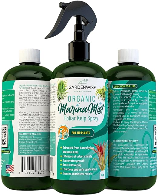 GARDENWISE Organic Marina Mist Kelp Air Plants Fertilizer Spray | Plant Food for Tillandsia Air Plants | Air Plant Mister - Enhances Bloom, Vitality, and Pup Growth (8 OZ)