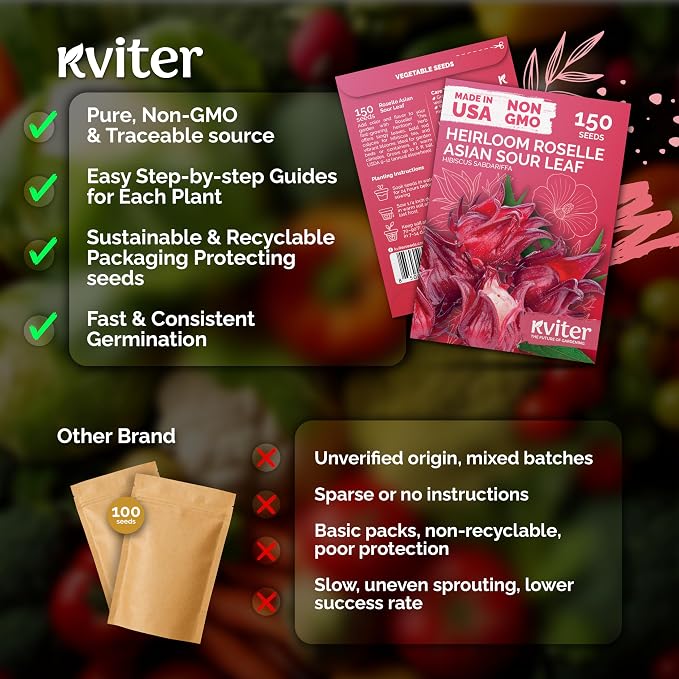 KVITER 150 Roselle Seeds for Planting (Hibiscus Sabdariffa) – Jamaican Sorrel/Cranberry Hibisco Seeds/Gongura Seed/Sour Leaf Seed – Perfect for Hibiscus Tea, Outdoor & Indoor Garden