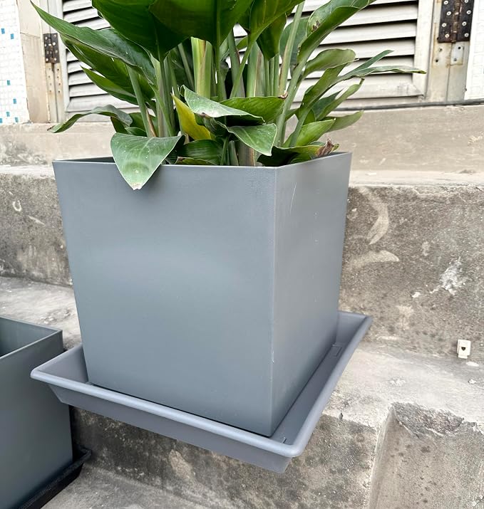 NIMYAU Square Plant Saucer 12 Inch 5 Pack, Plant Stand Plant Trays for Pots Heavy Duty Gray Plastic Plant Saucers for Indoors Outdoors, Flower Pot No Holes Plant Lover Gardening Gifts