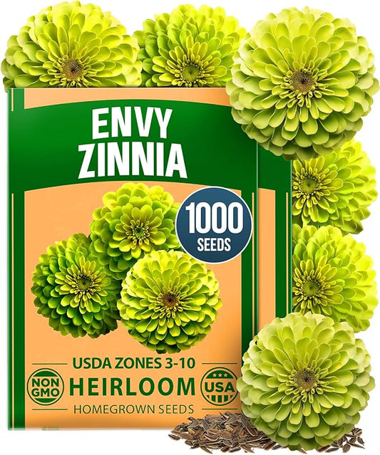 HOME GROWN Envy Zinnia Seeds (1g) – 1000 Rare Lime Green Annual Zinnia Flower Seeds for Planting, Fast-Growing Heat-Loving Variety, Premium Herb Seeds Garden Companion for 2026 Blooms (Zinnia elegans)